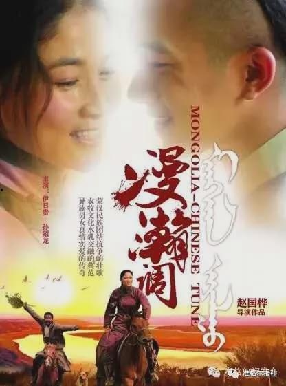 漫瀚调电影在线观看,探寻民族音乐的魅力之旅